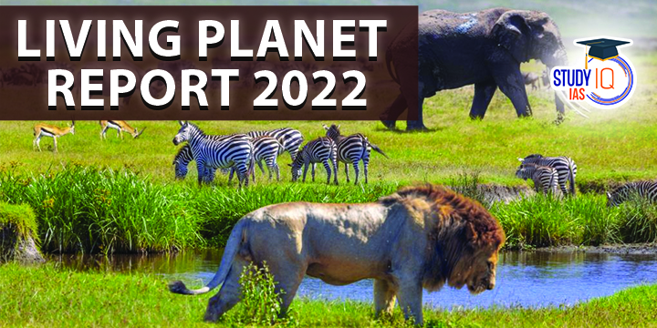 Living Planet Report