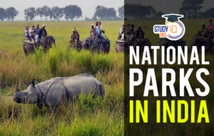 National Parks in India