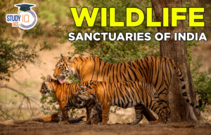 Wildlife Sanctuaries of India