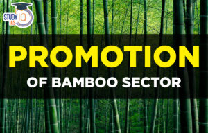 Promotion of Bamboo Sector