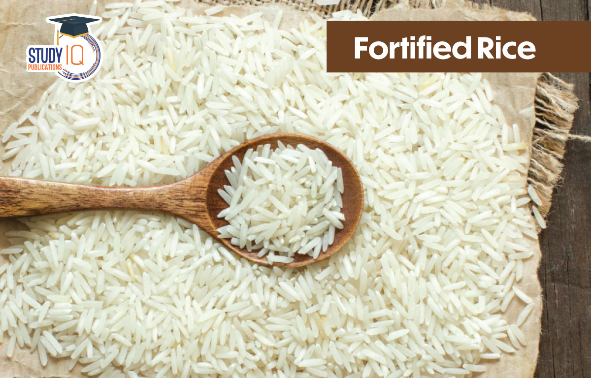 Fortified Rice