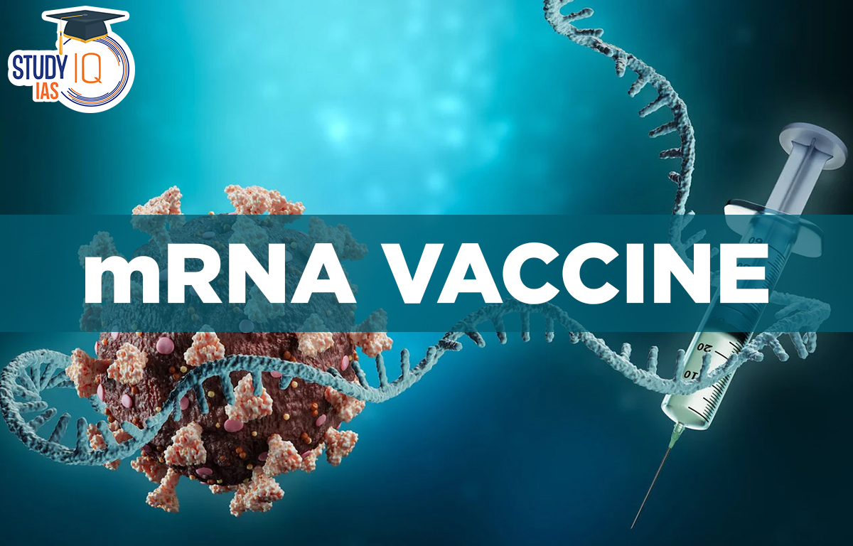 mRNA Vaccine