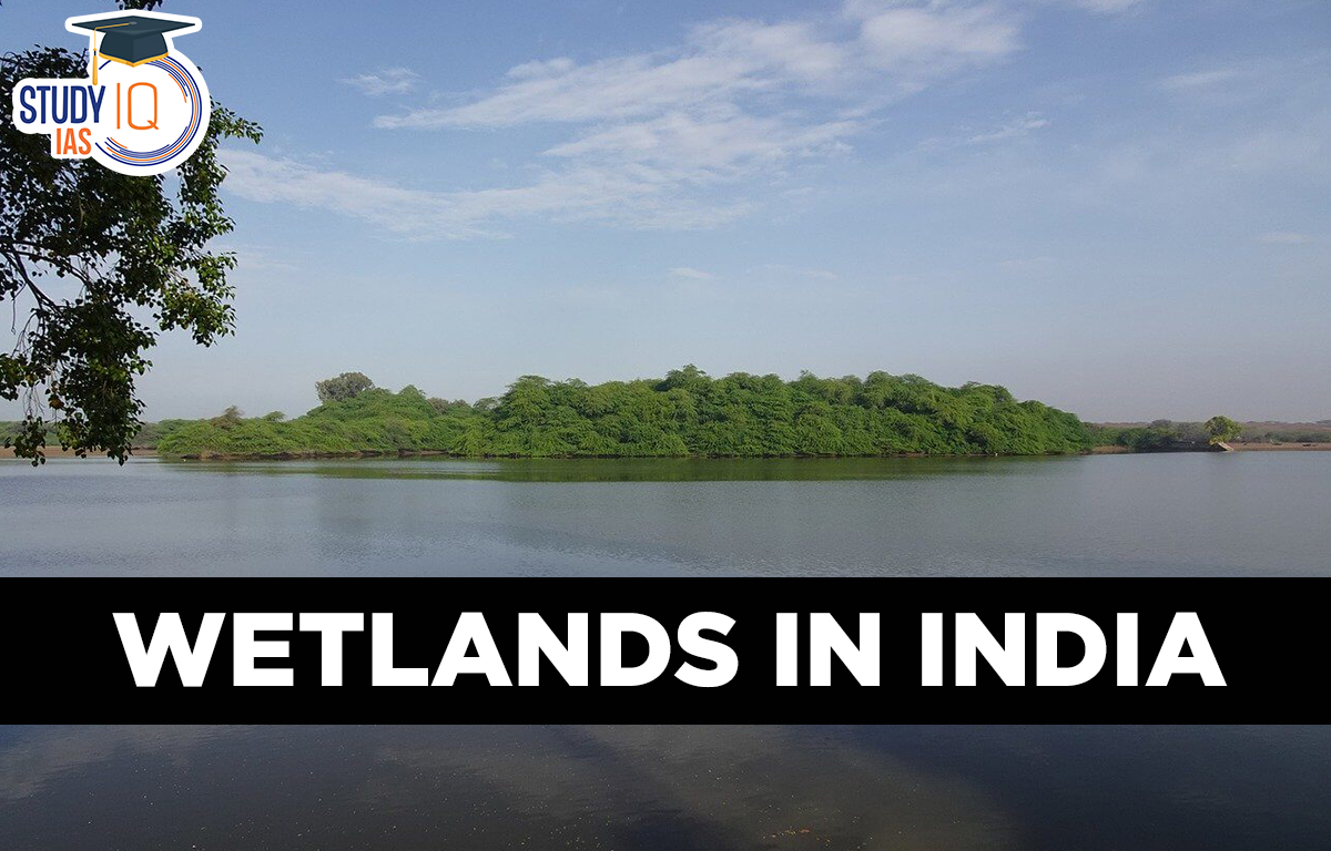 Wetlands in India