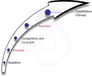 Stages of Ecological Succession