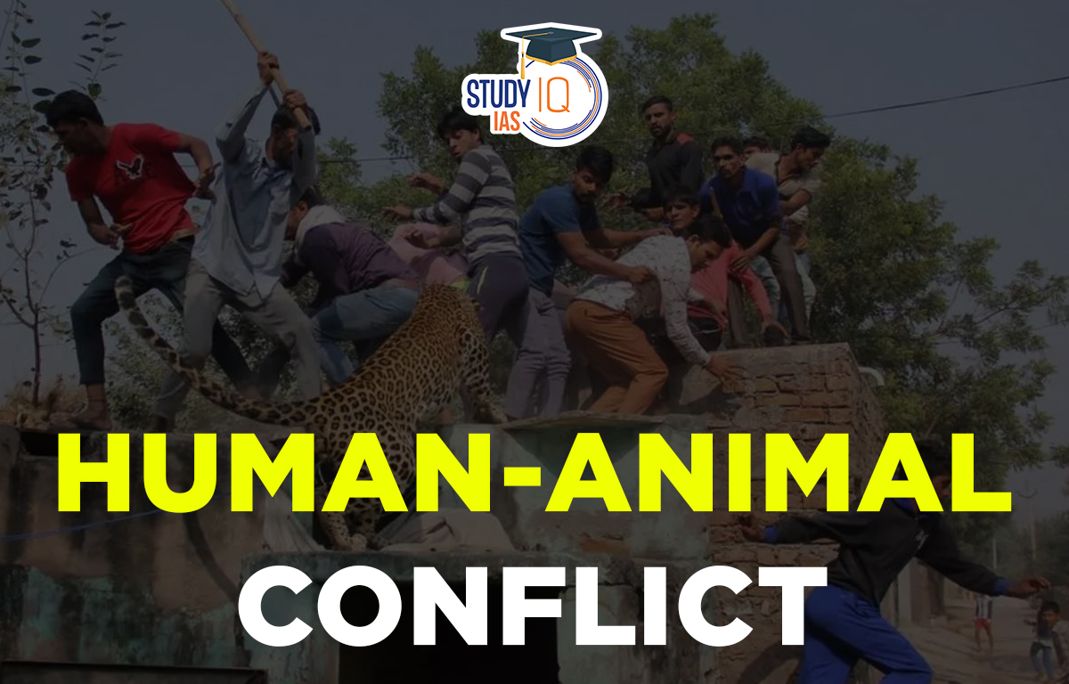 Human-Animal Conflict