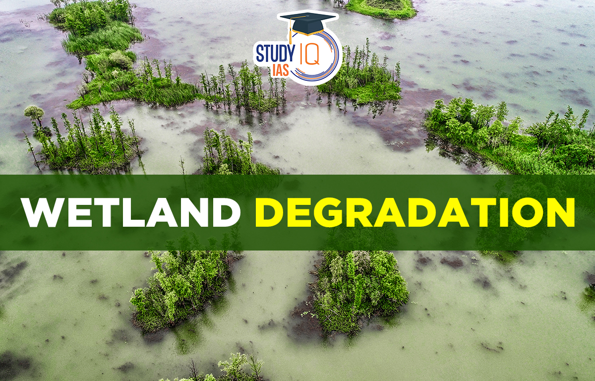 Wetland Degradation