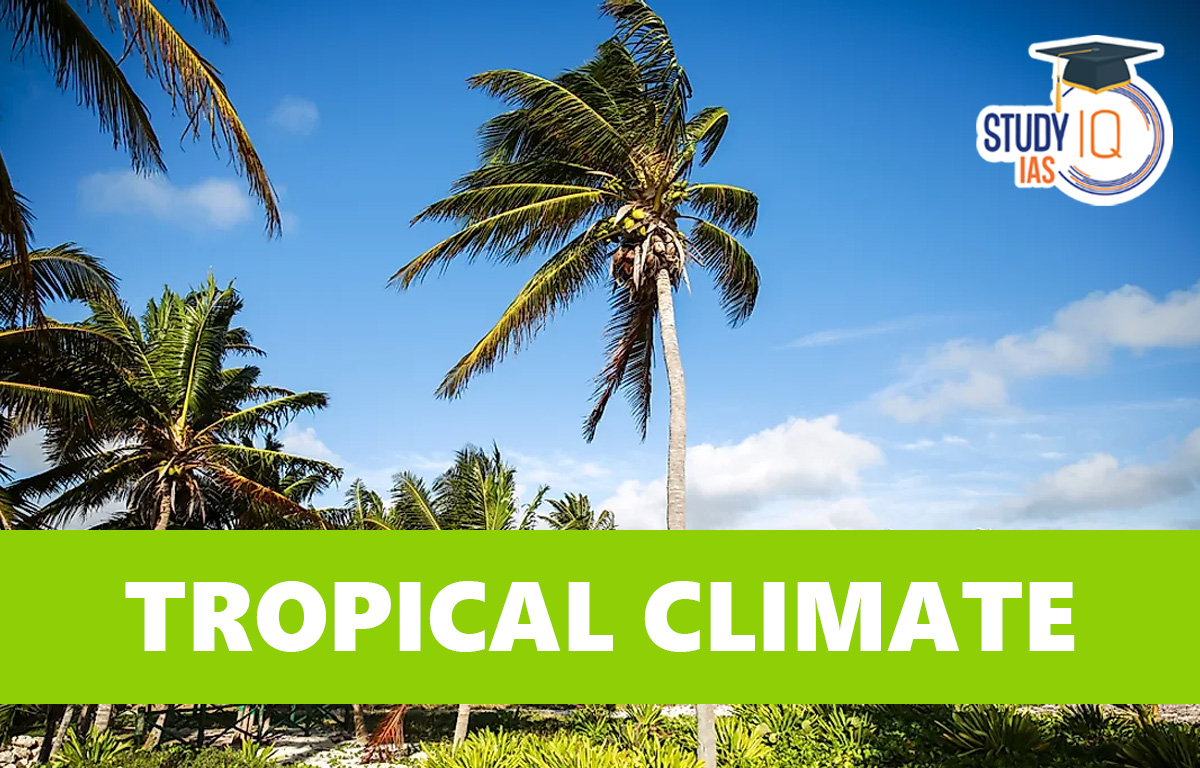 Tropical Climate & Tropical Monsoon Climate, Distribution, Map