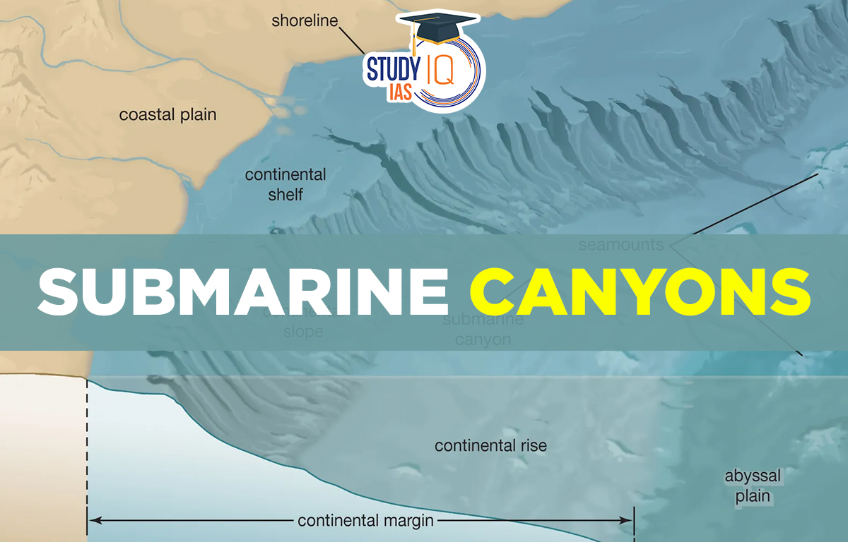 Submarine Canyons