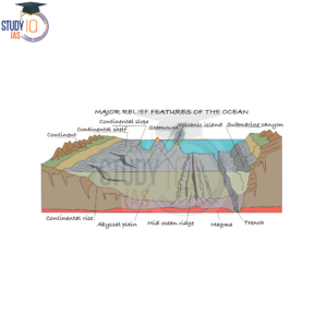 Submarine Canyons