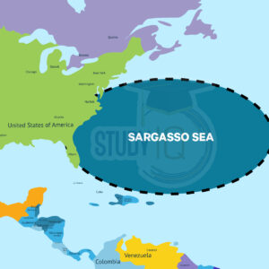 Sargasso Sea