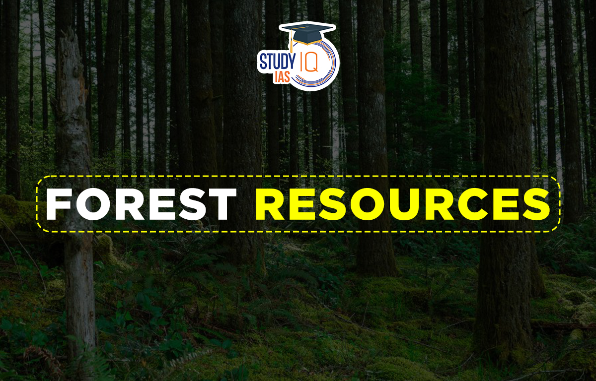 Forest Resources