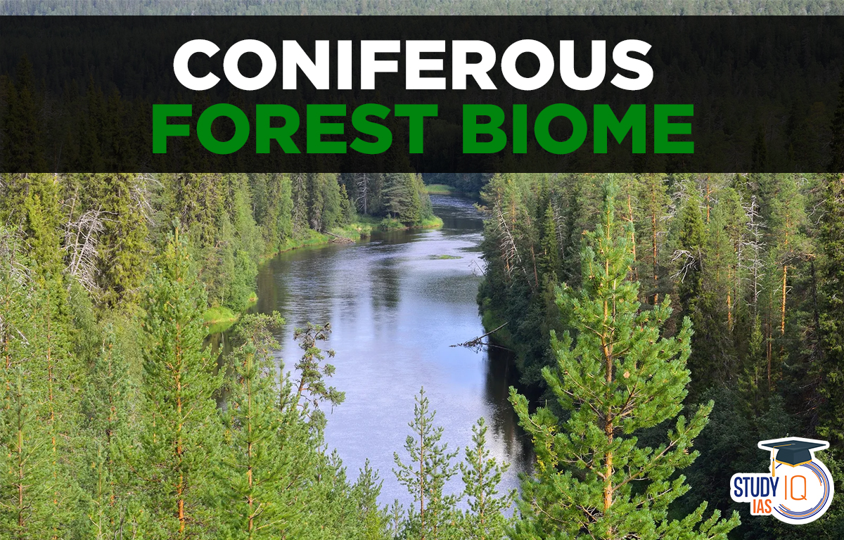 Coniferous Forest Biome