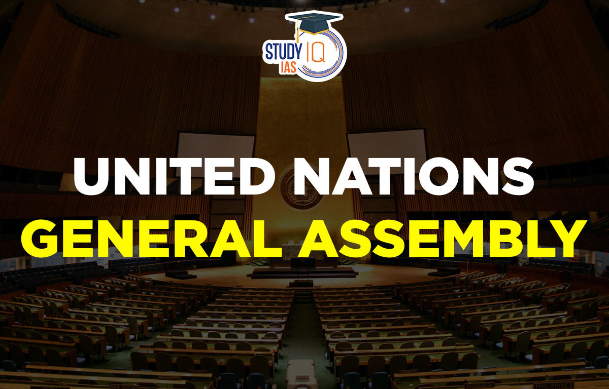 United Nations General Assembly