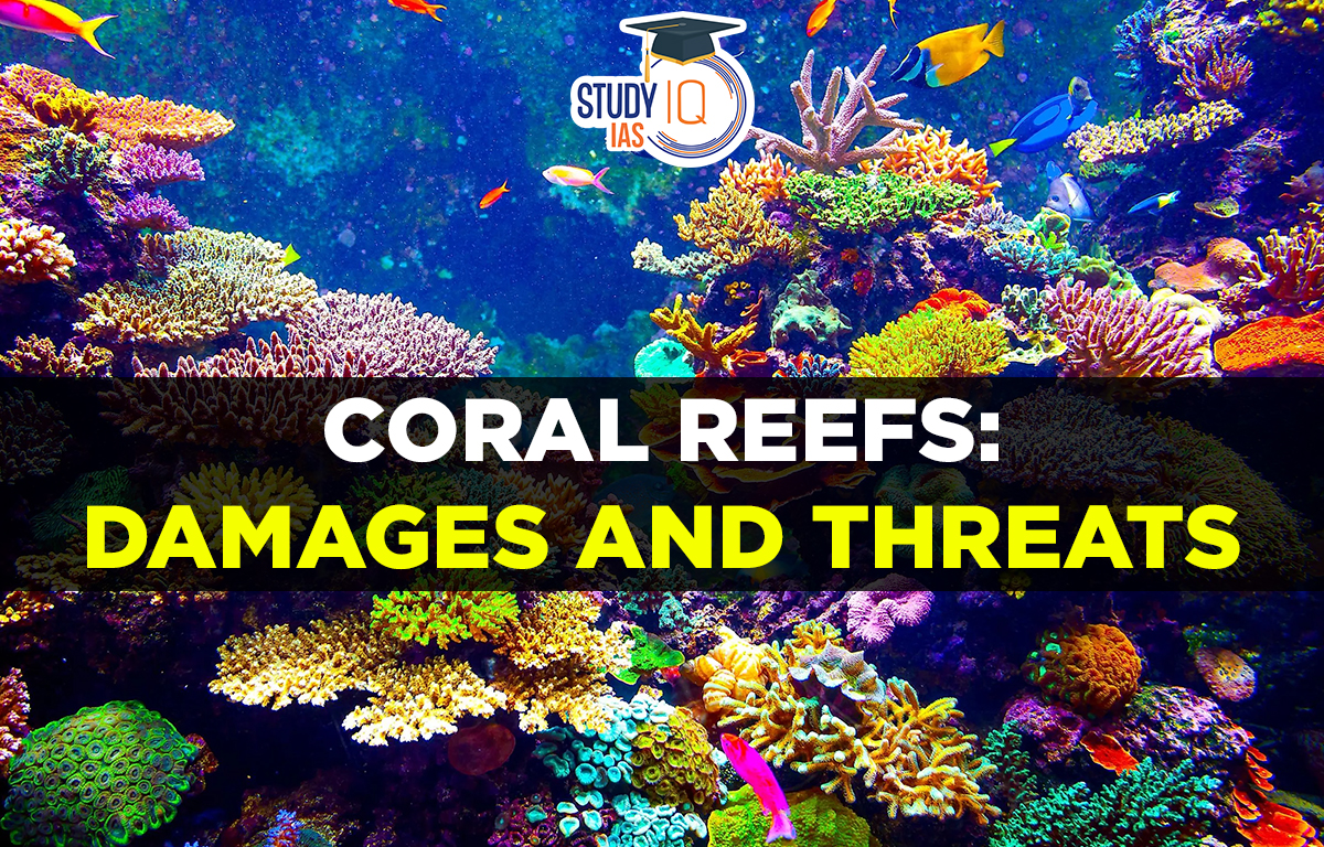 Coral Reefs Damages and Threats