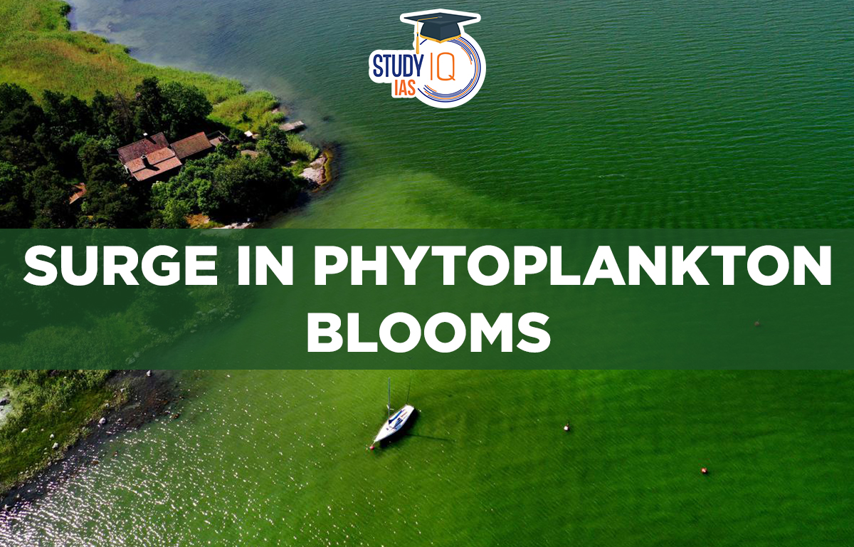 Surge in Phytoplankton Blooms