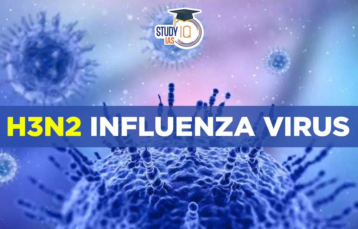 H3N2 Influenza Virus