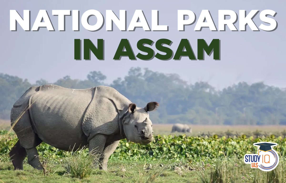 National Parks in Assam