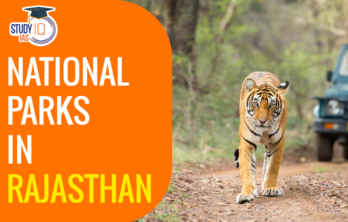 National Parks in Rajasthan