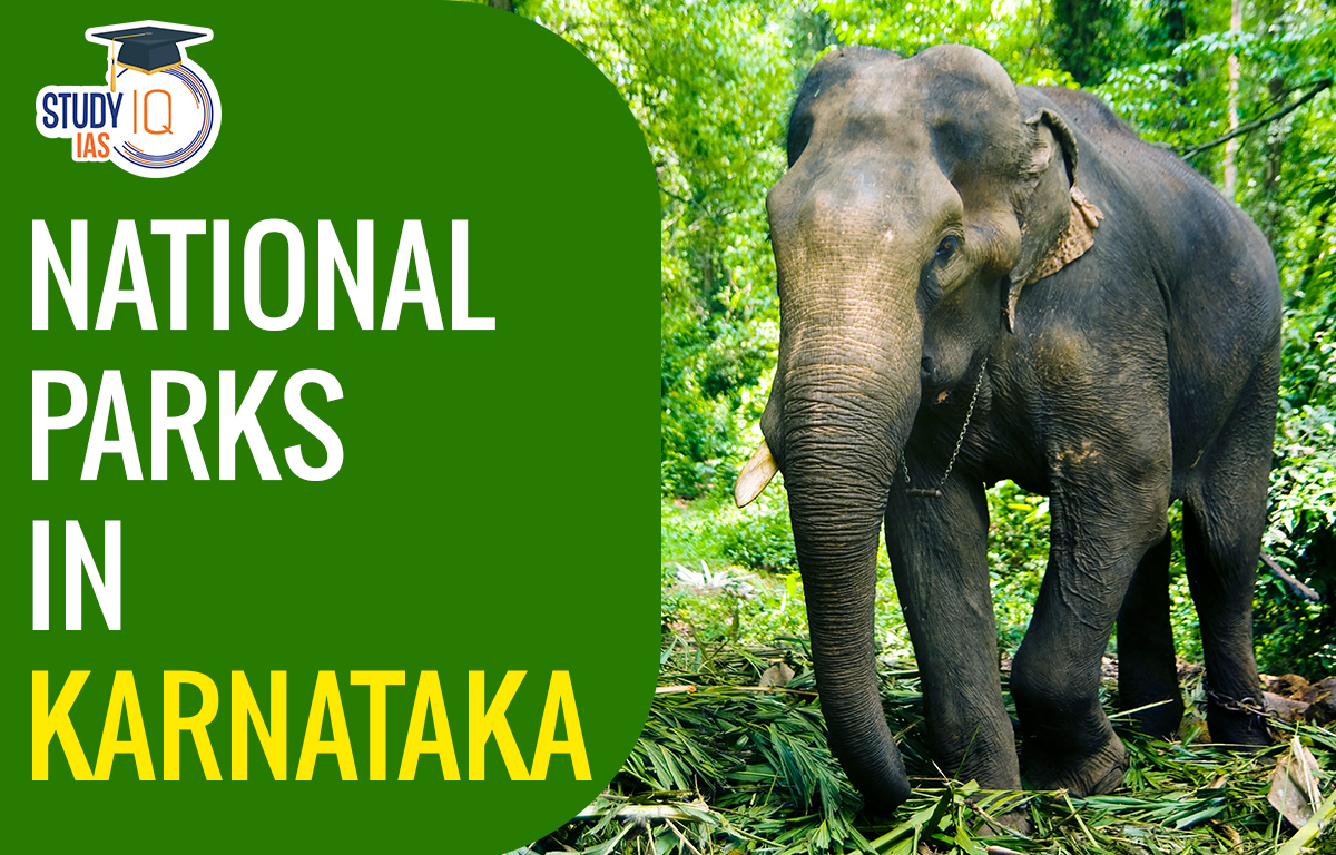 National Parks in Karnataka 