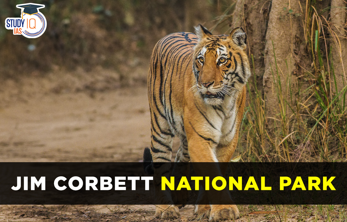 Jim Corbett national park