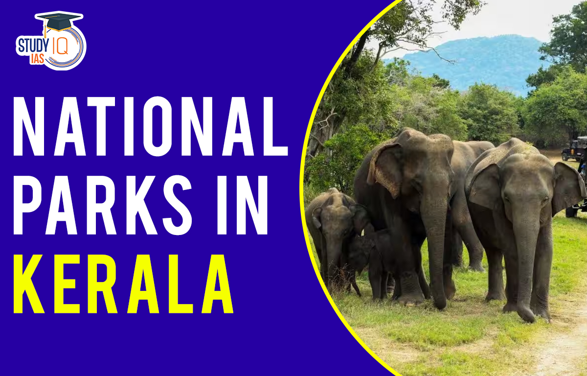 National Parks in Kerala