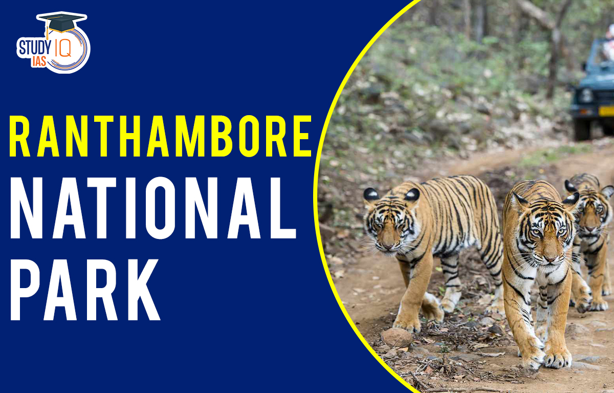 Ranthambore National Park