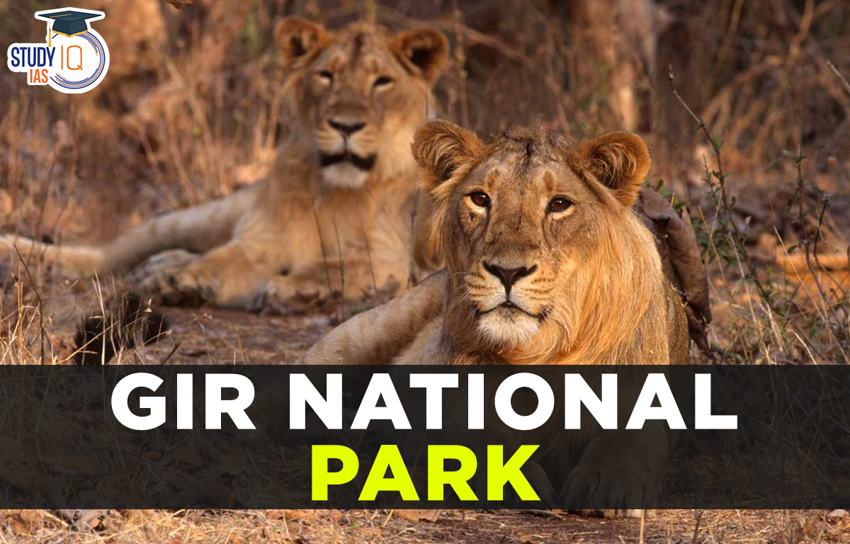 Gir National Park