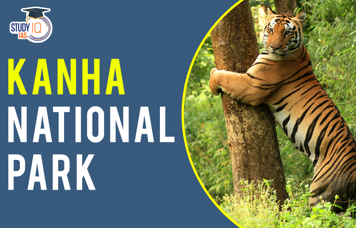 Kanha National Park