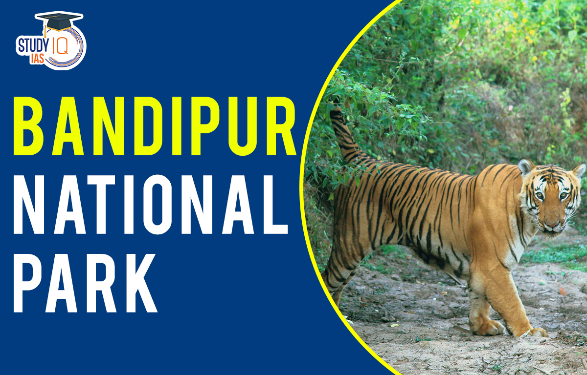 Bandipura National Park