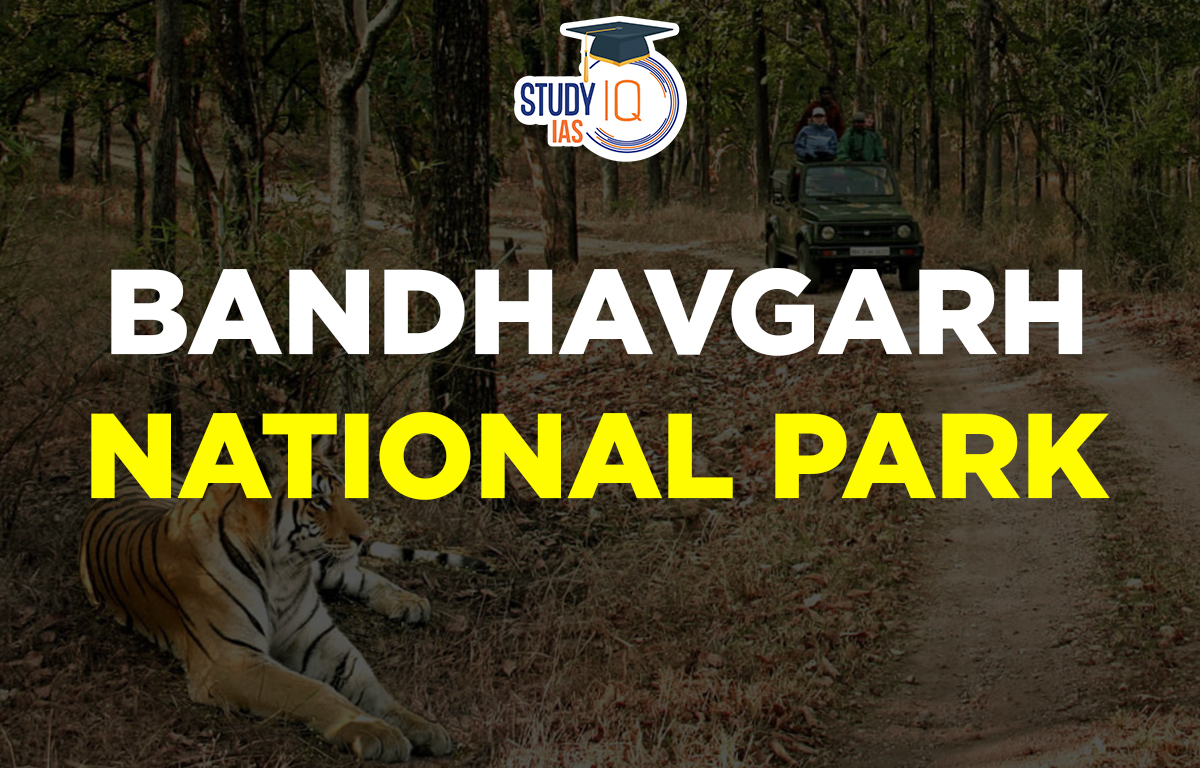 Bandhavgarh National Park