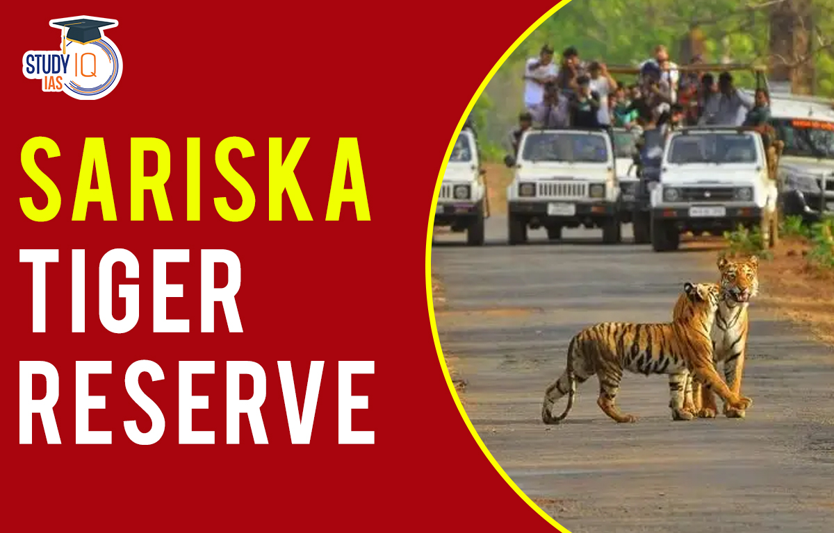 Sariska tiger reserve