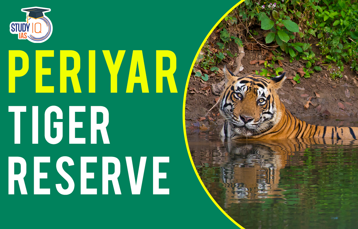 Periyar tiger reserve