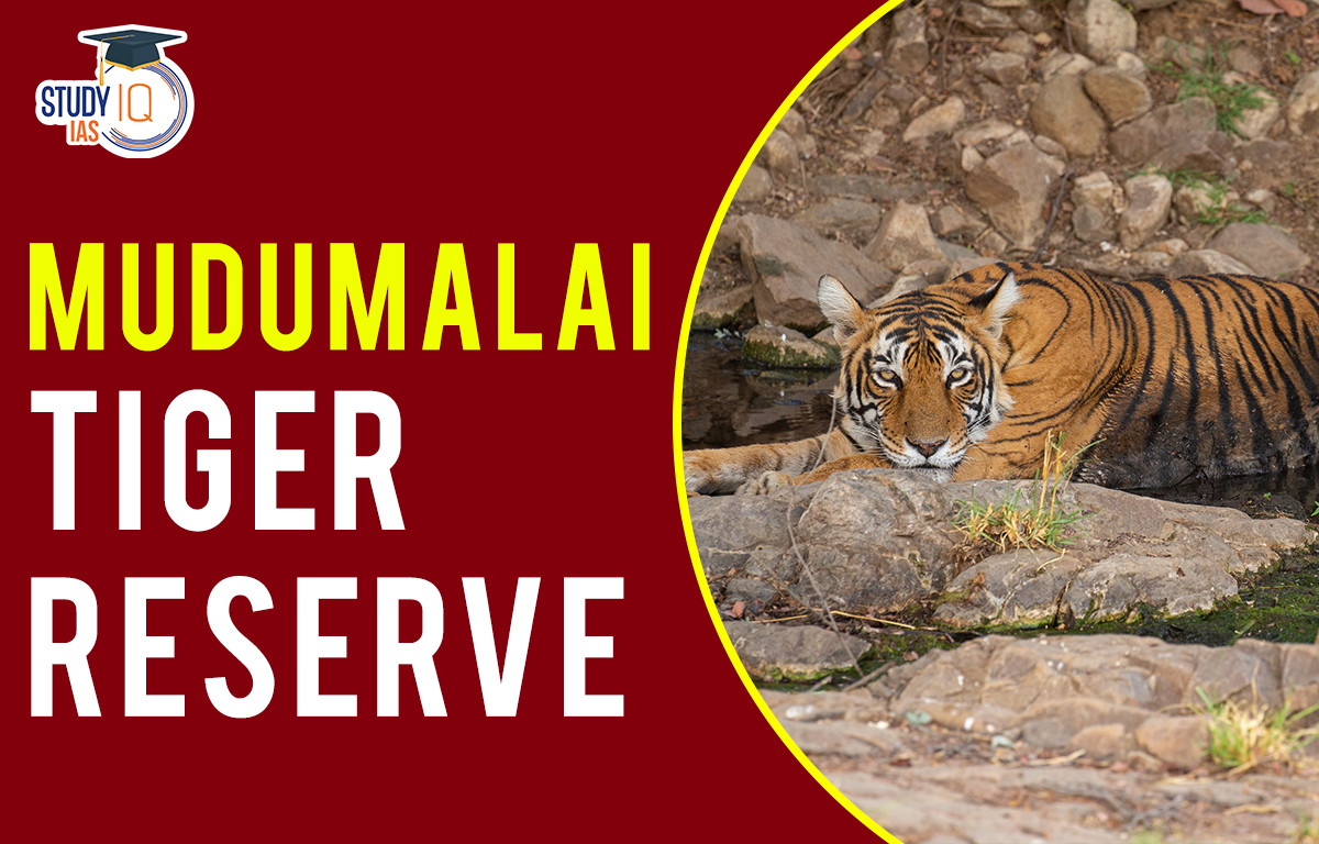 Mudumalai Tiger Reserve