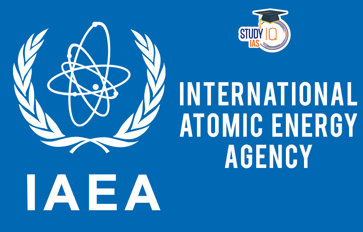 International Atomic Energy Agency