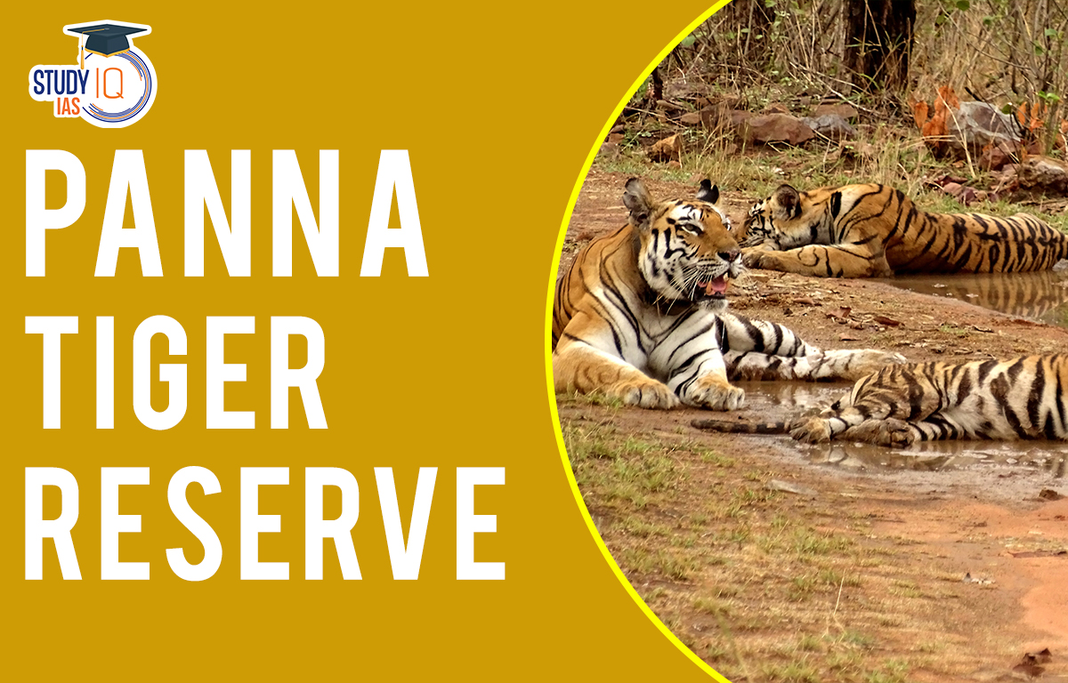 Panna Tiger Reserve