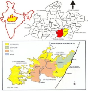 Pench Tiger Reserve