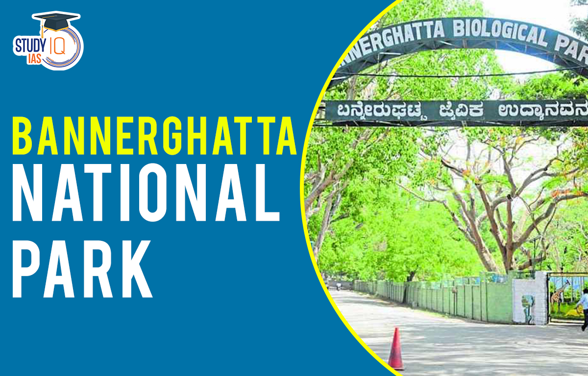 Bannerghatta national park