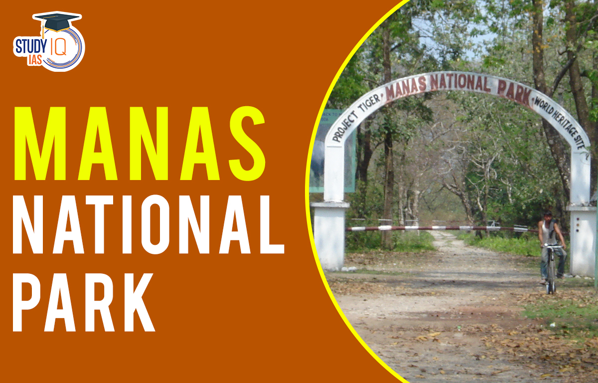 Manas national park