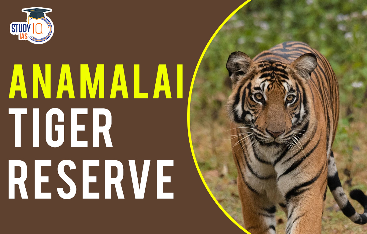 Anamalai Tiger Reserve