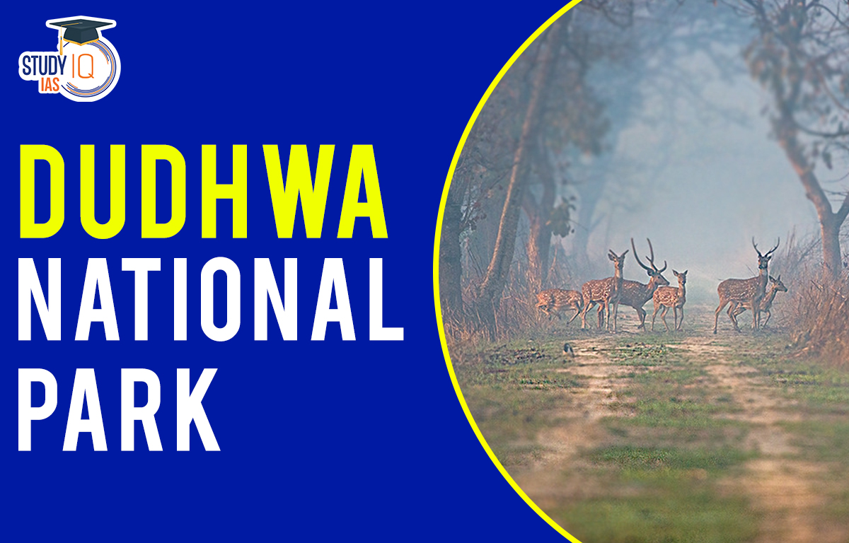 Dudhwa national park.