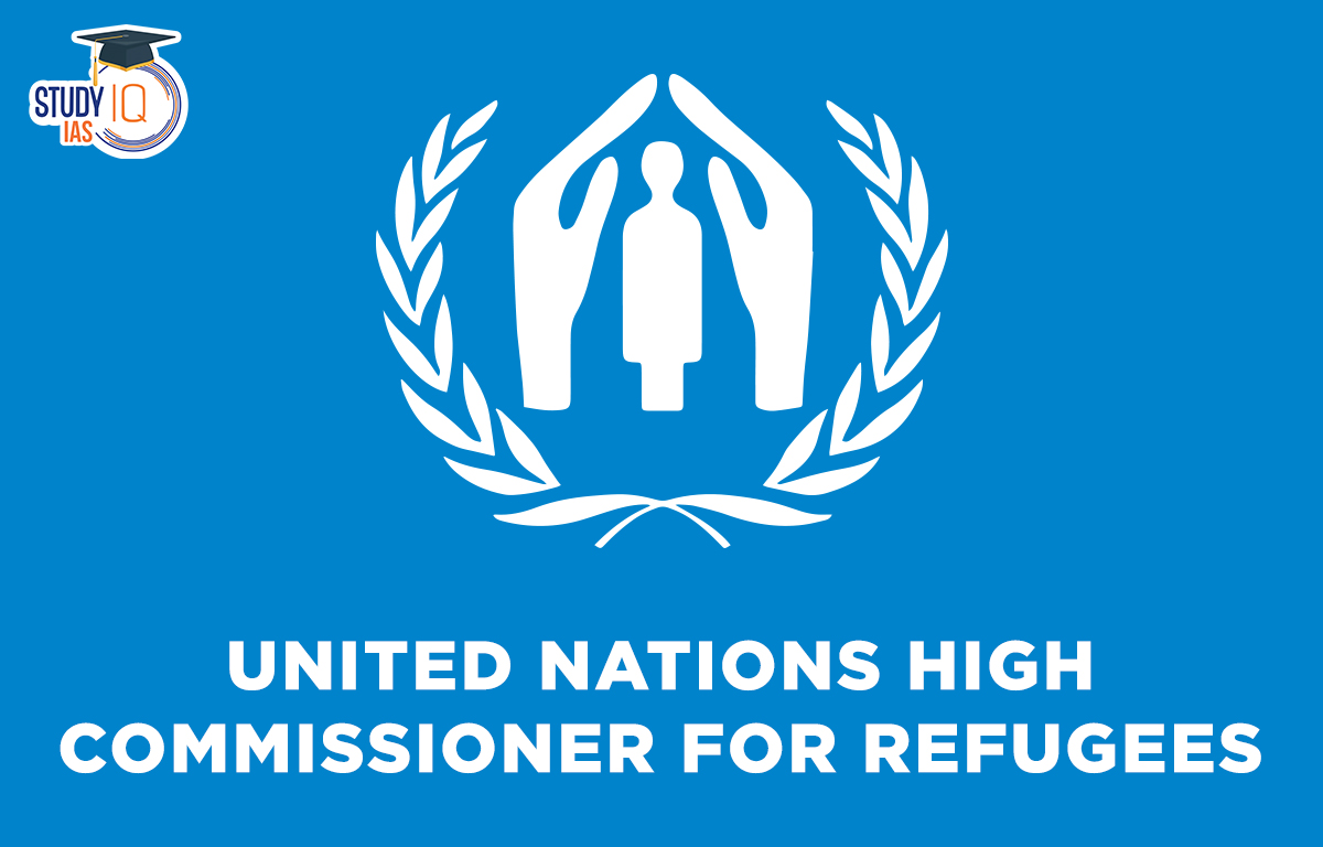 United Nations High Commissioner for Refugees