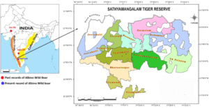 Sathyamangalam Tiger Reserve