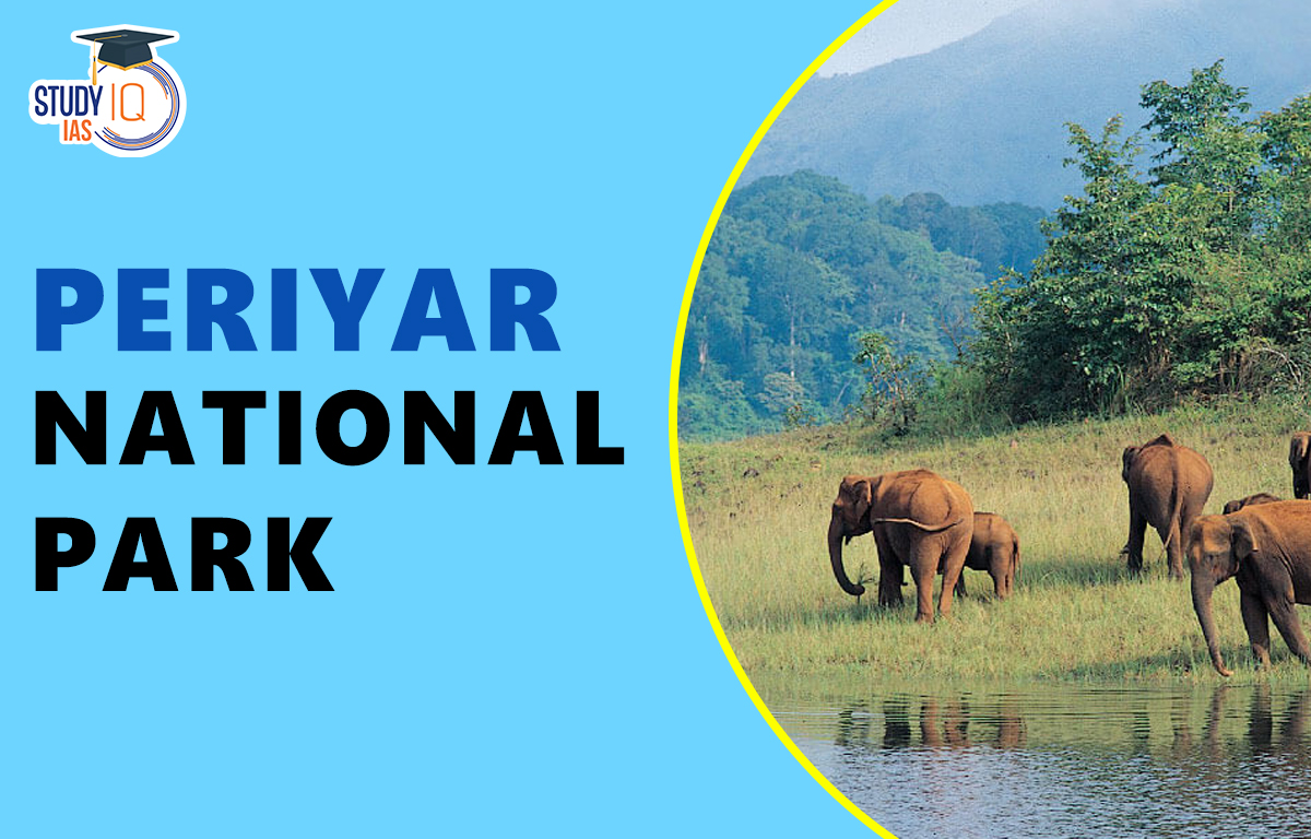 Periyar national park