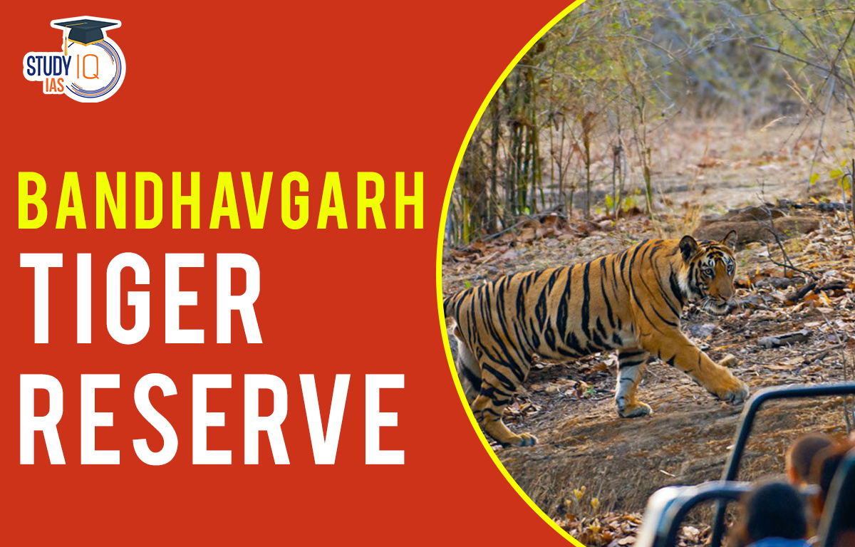 Bandhavgarh tiger reserve