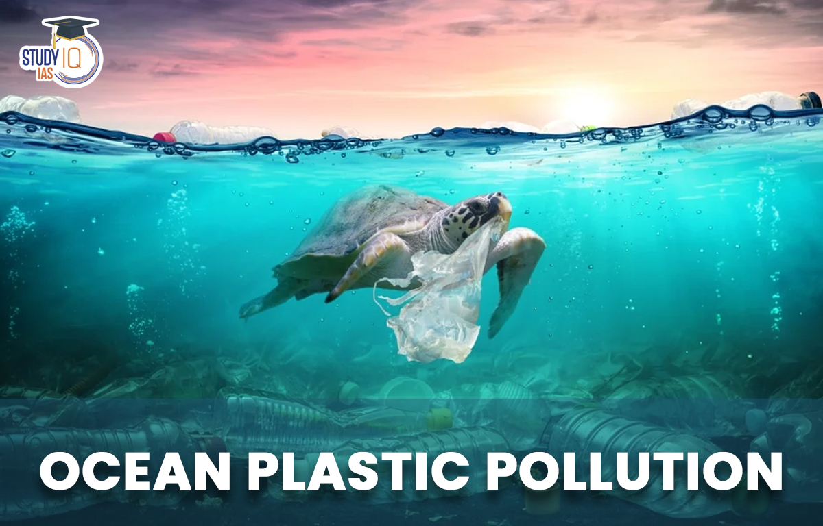 Ocean Plastic Pollution