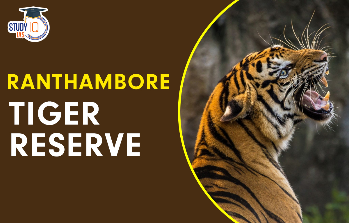 Ranthambore tiger reserve