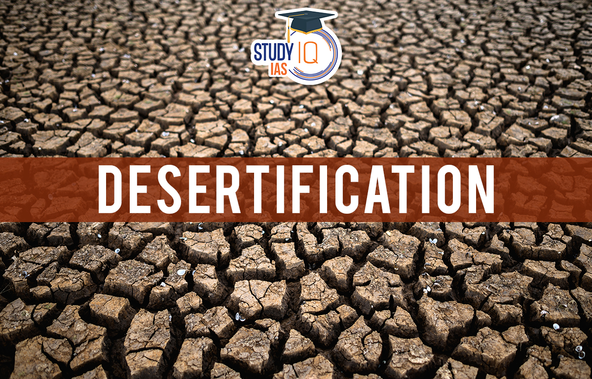 Desertification