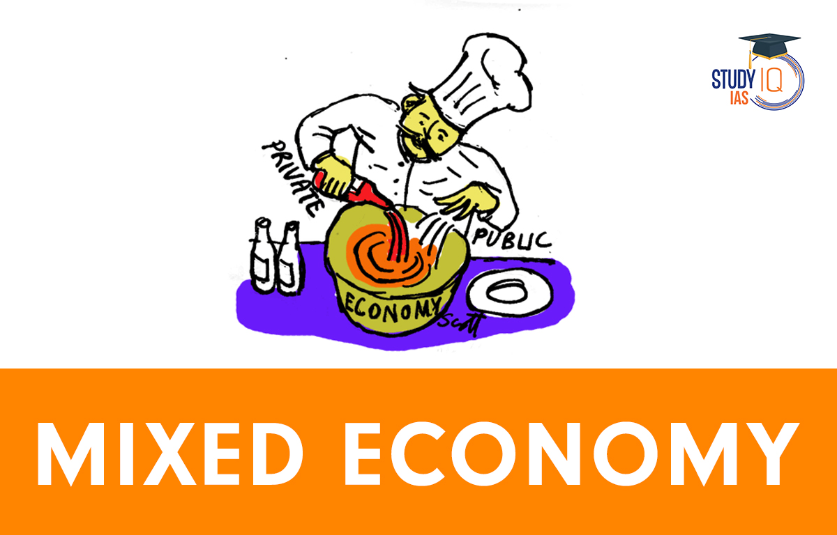 Mixed Economy