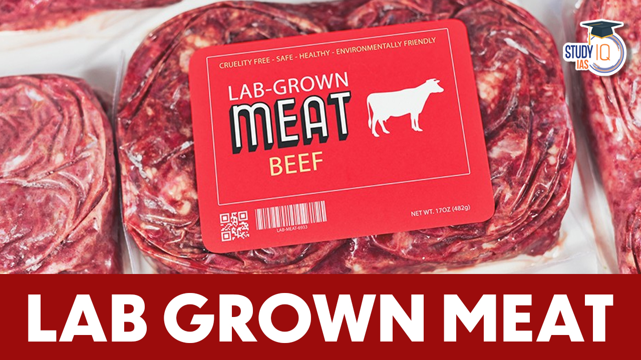 Lab Grown Meat