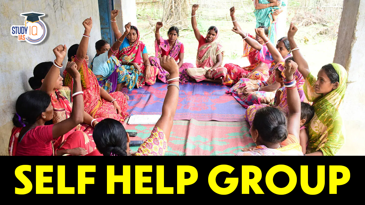 Self Help Group